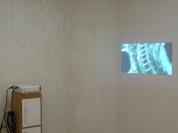 EVERYTHING IS BEAUTIFUL